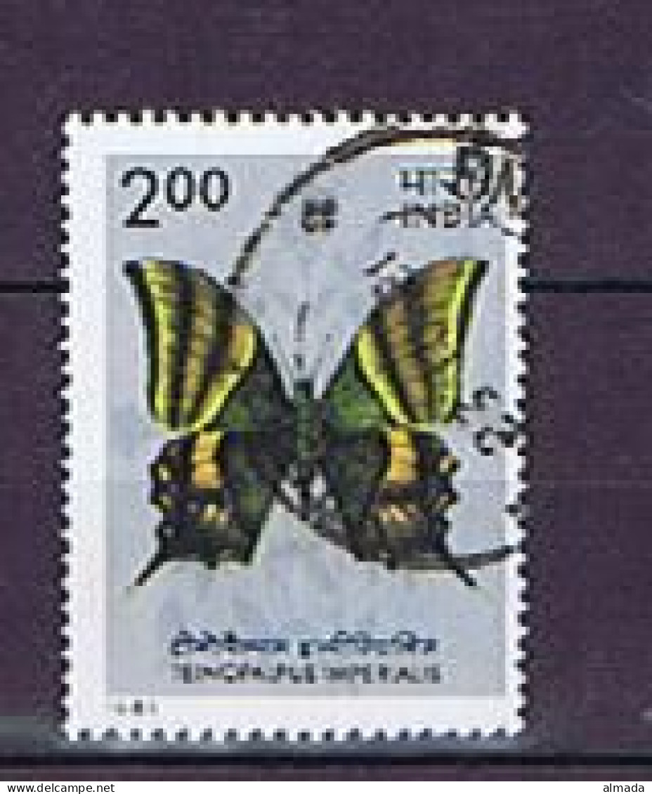 India 1981: Michel 885 Used, Gestempelt - Used Stamps