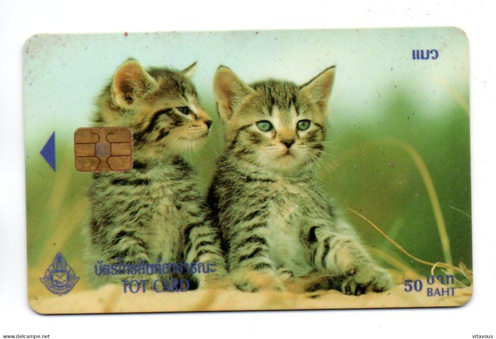 CHAT CAT Télécarte Puce Thaïlande  Phonecard  (R 769) - Thaïland