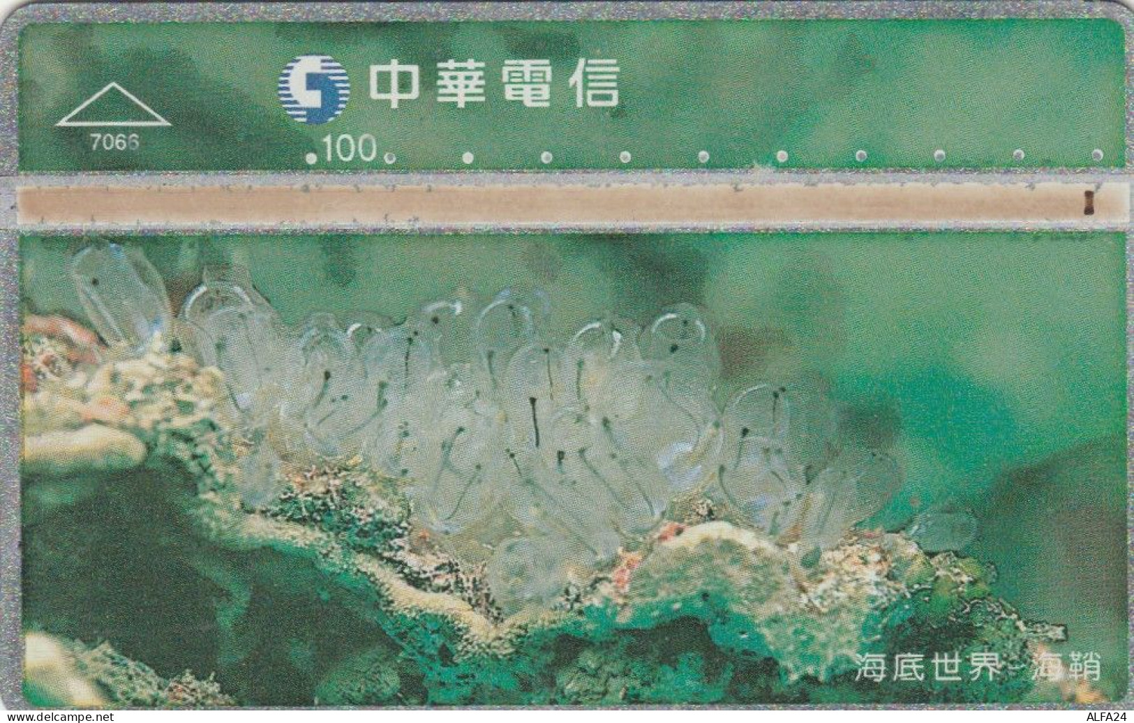 PHONE CARD TAIWAN (E46.58.5 - Taiwan (Formosa)