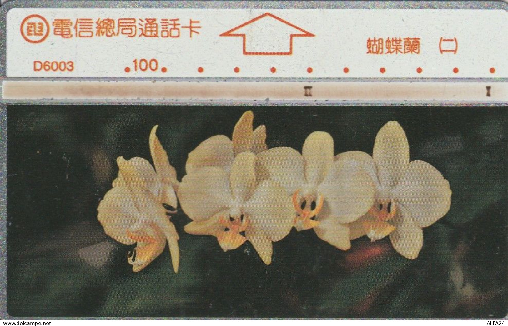 PHONE CARD TAIWAN (E45.19.3 - Taiwan (Formose)