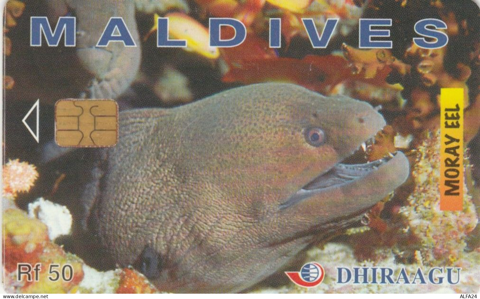 PHONE CARD MALDIVE (E52.42.8 - Maldive