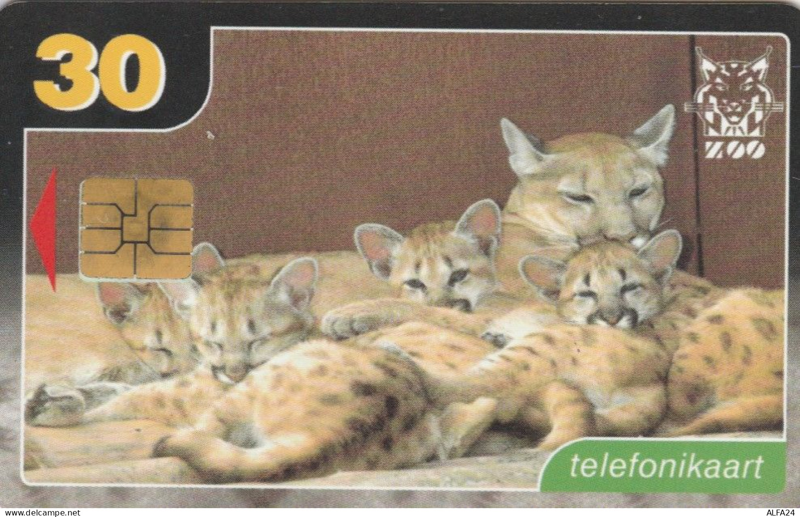 PHONE CARD ESTONIA (E50.7.1 - Estonia