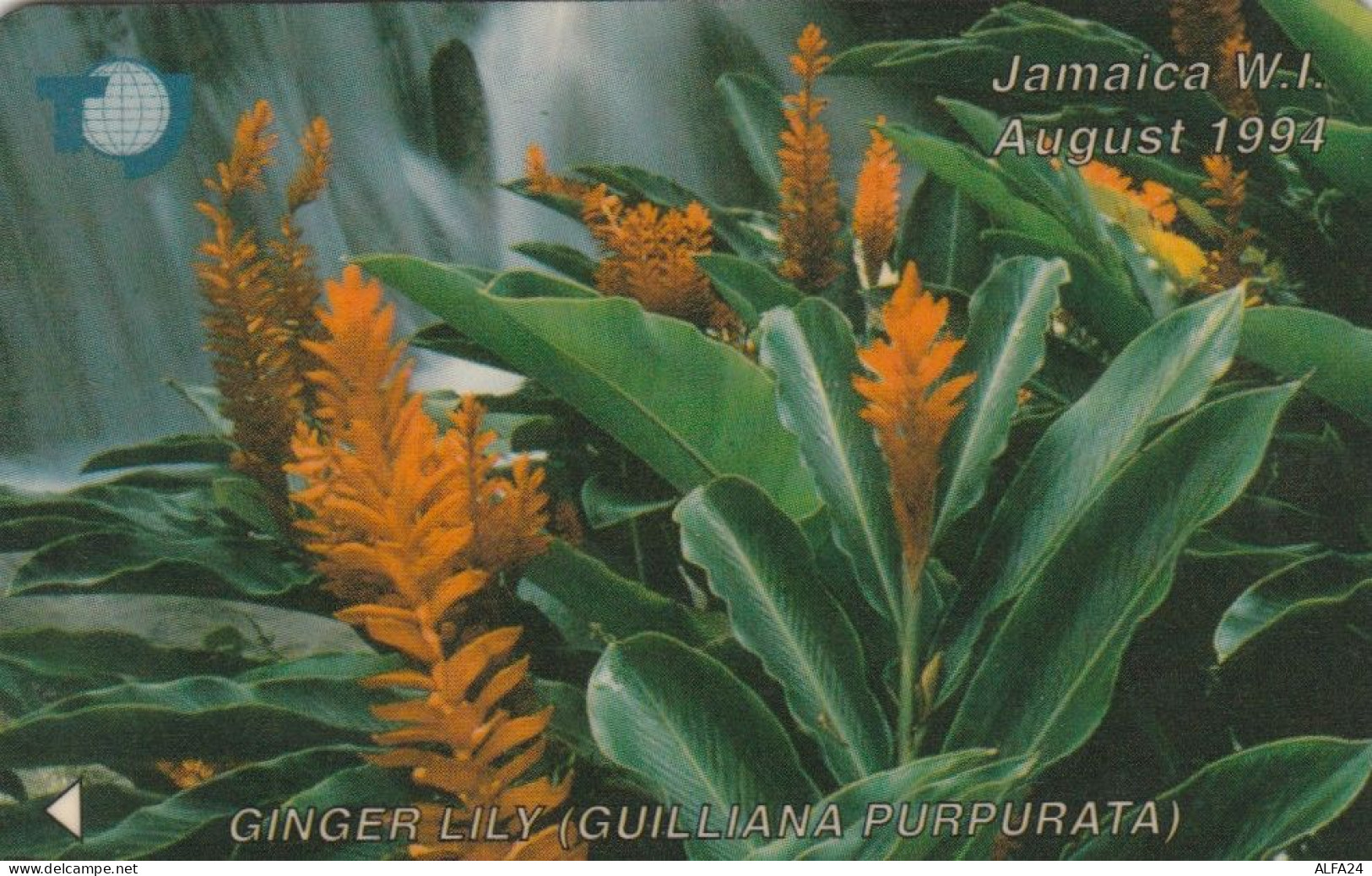 PHONE CARD GIAMAICA (E47.29.2 - Jamaica