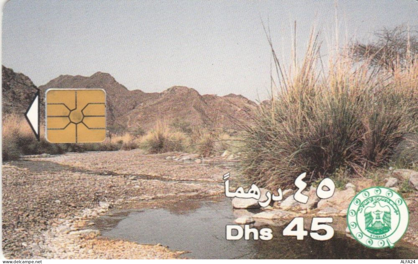 PHONE CARD EMIRATI ARABI (E53.19.6 - Ver. Arab. Emirate