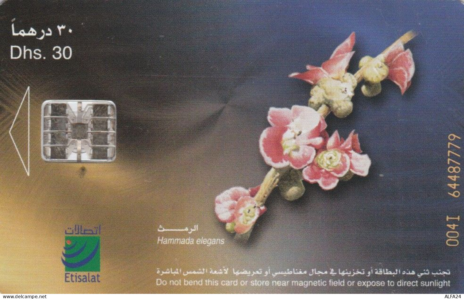 PHONE CARD EMIRATI ARABI (E53.19.3 - Emirats Arabes Unis