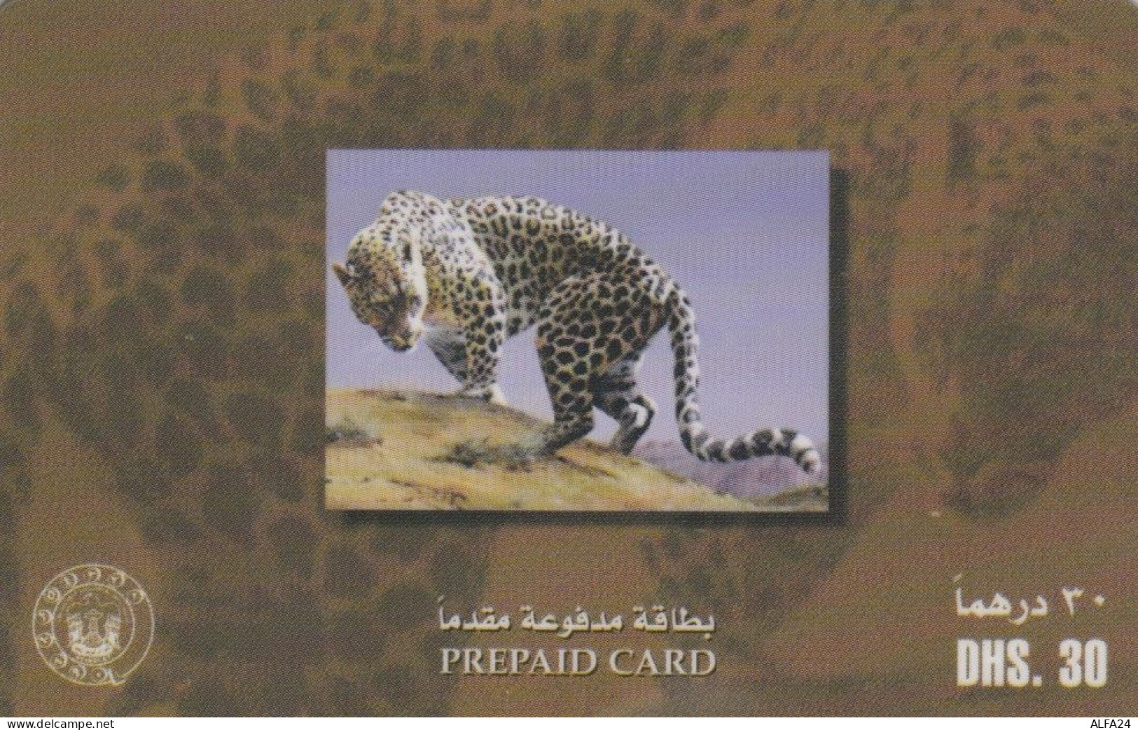 PREPAID PHONE CARD EMIRATI ARABI (E53.17.6 - United Arab Emirates