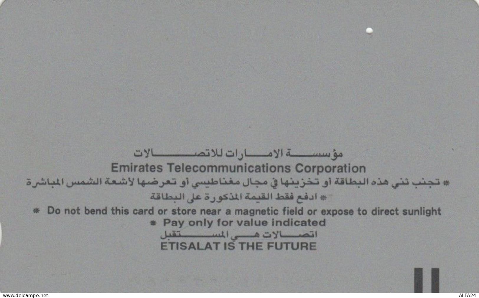 PHONE CARD EMIRATI ARABI (E53.17.5 - Emiratos Arábes Unidos