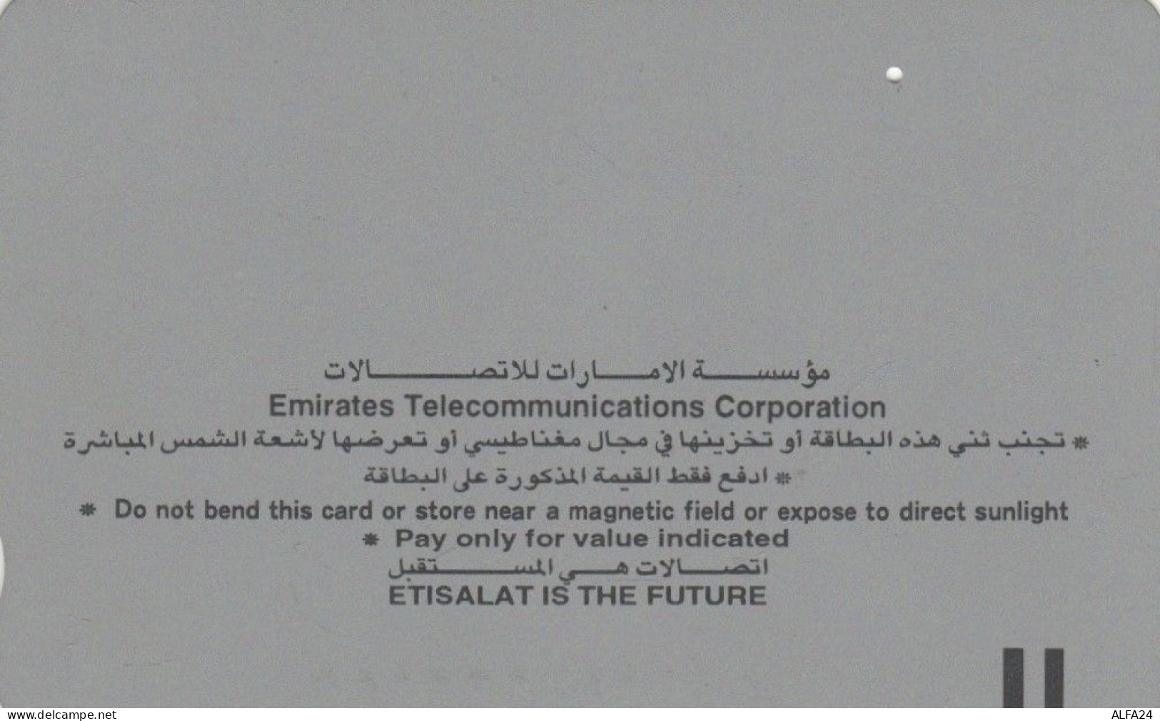 PHONE CARD EMIRATI ARABI (E53.17.5 - Ver. Arab. Emirate