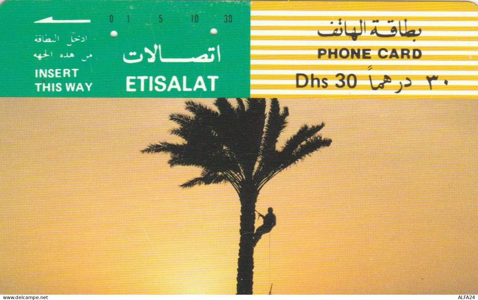 PHONE CARD EMIRATI ARABI (E53.16.6 - Ver. Arab. Emirate