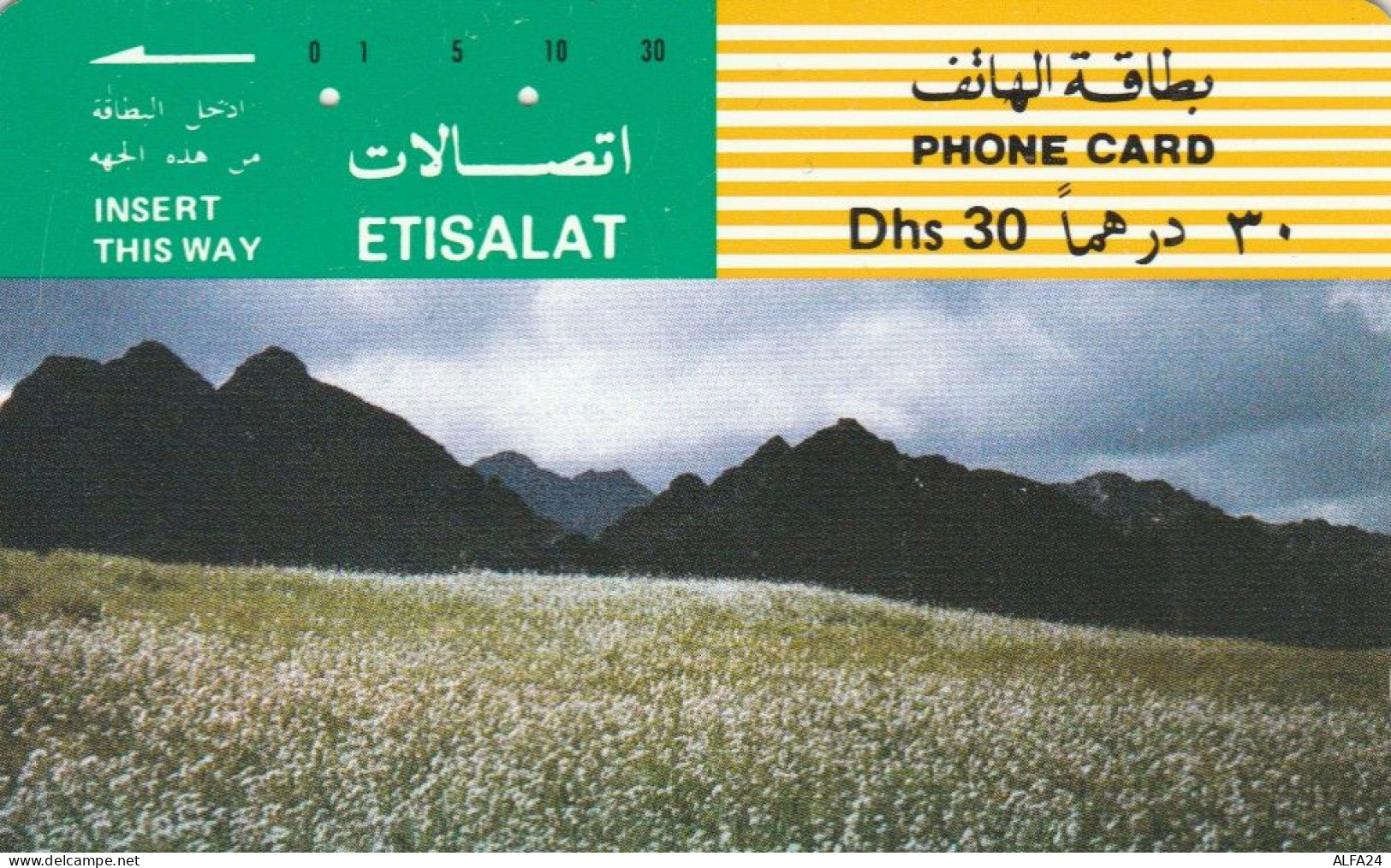 PHONE CARD EMIRATI ARABI (E53.16.2 - Ver. Arab. Emirate