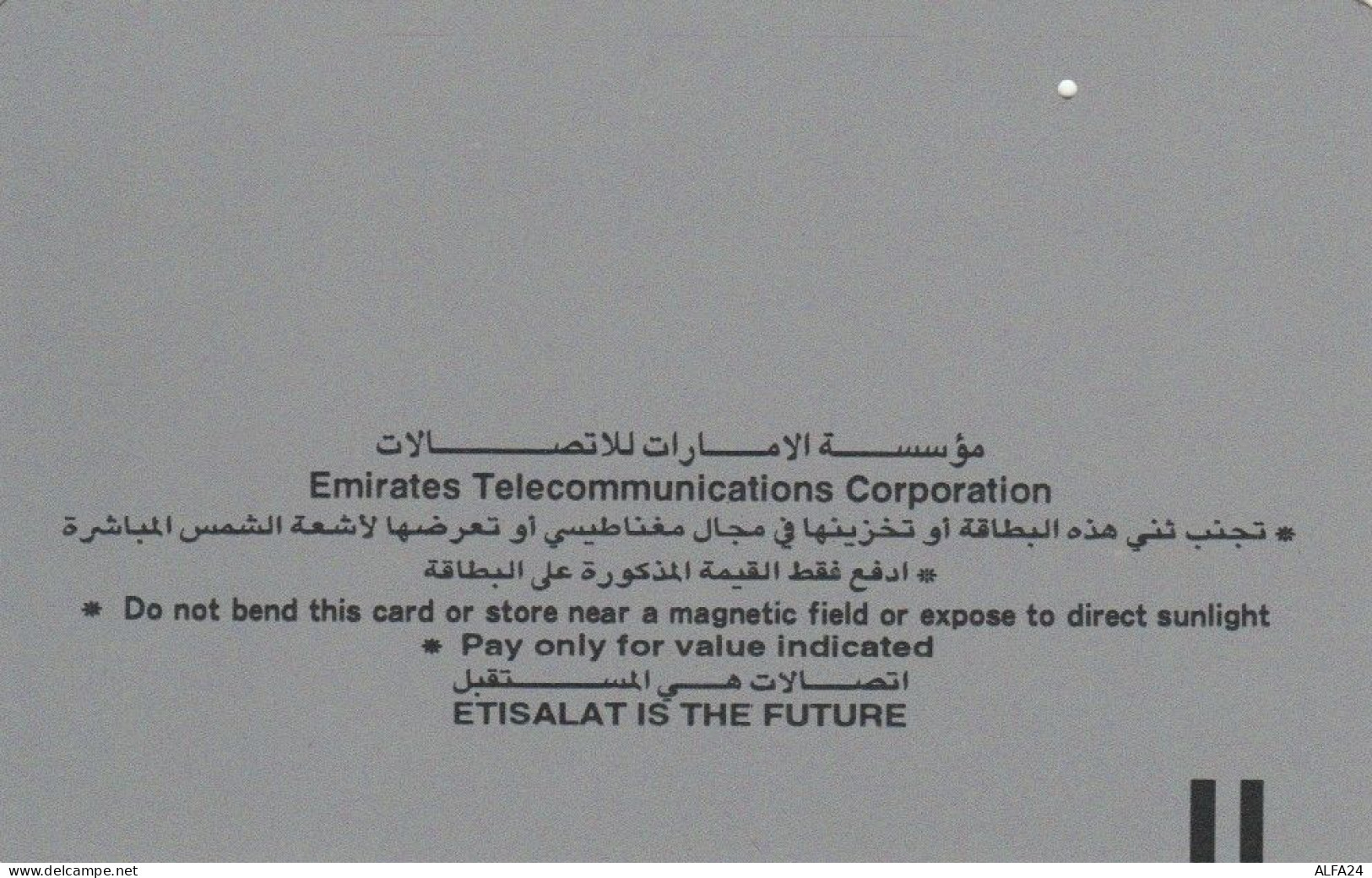 PHONE CARD EMIRATI ARABI (E53.15.6 - Emirats Arabes Unis