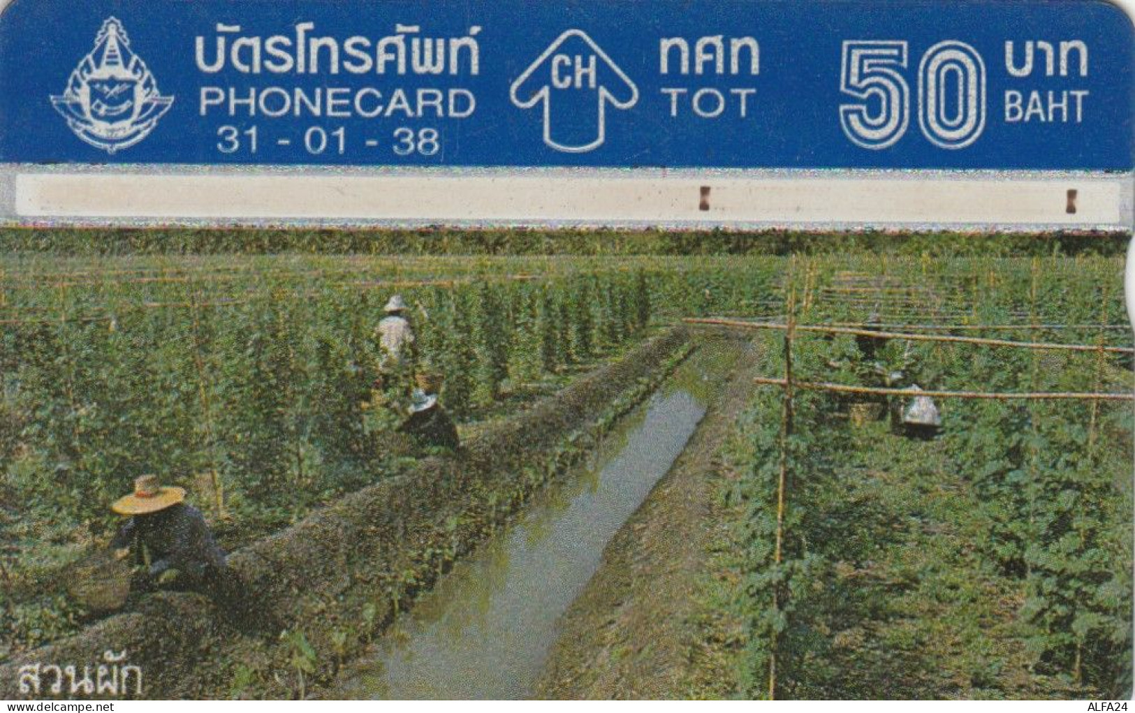 PHONE CARD TAILANDIA (N.26.8 - Thailand