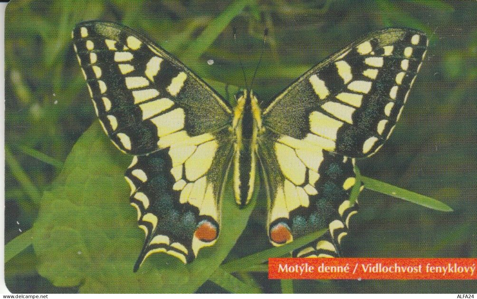 PHONE CARD SLOVACCHIA (M.38.7 - Slovakia