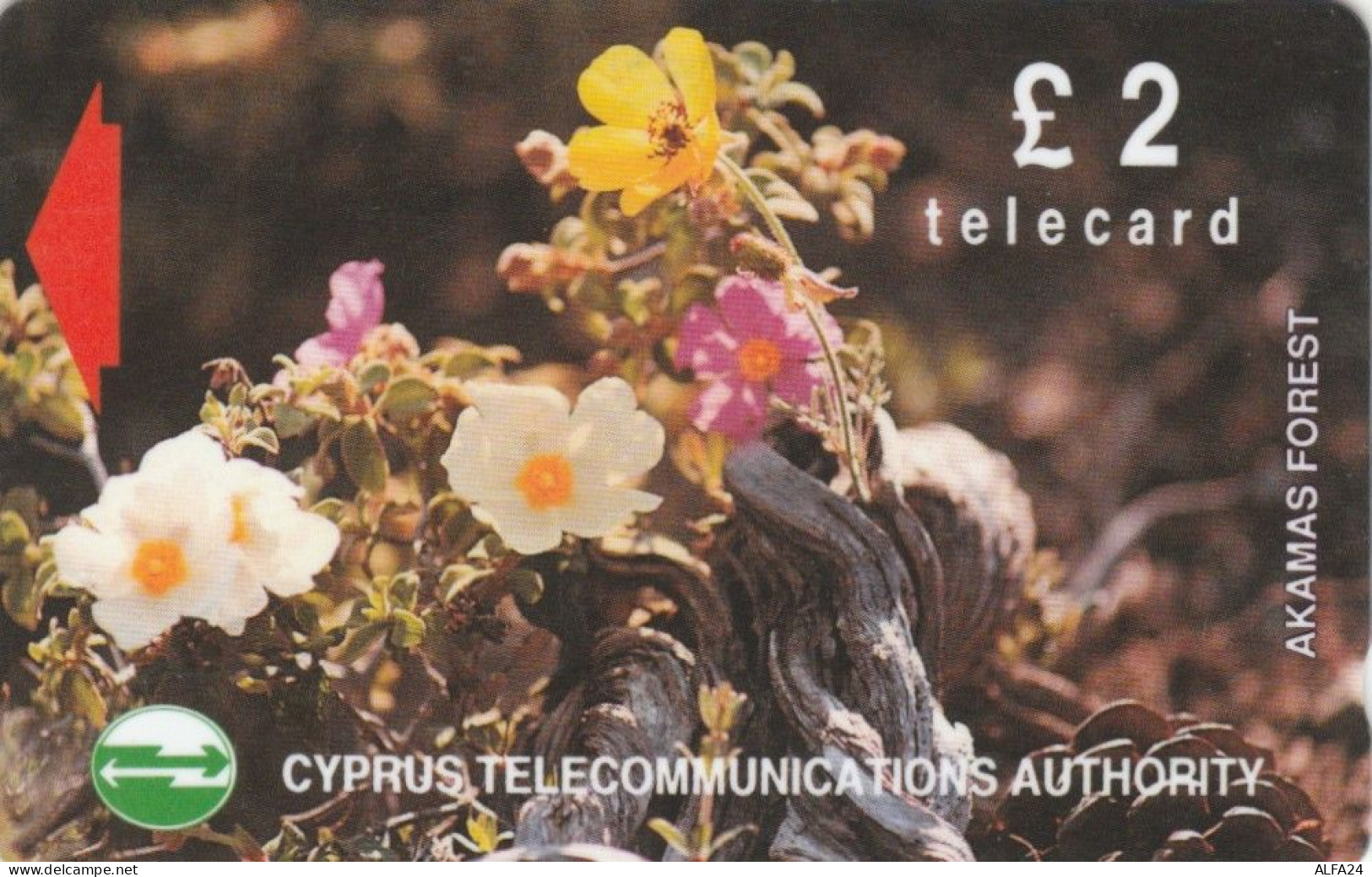 PHONE CARD CIPRO (M.35.4 - Cyprus