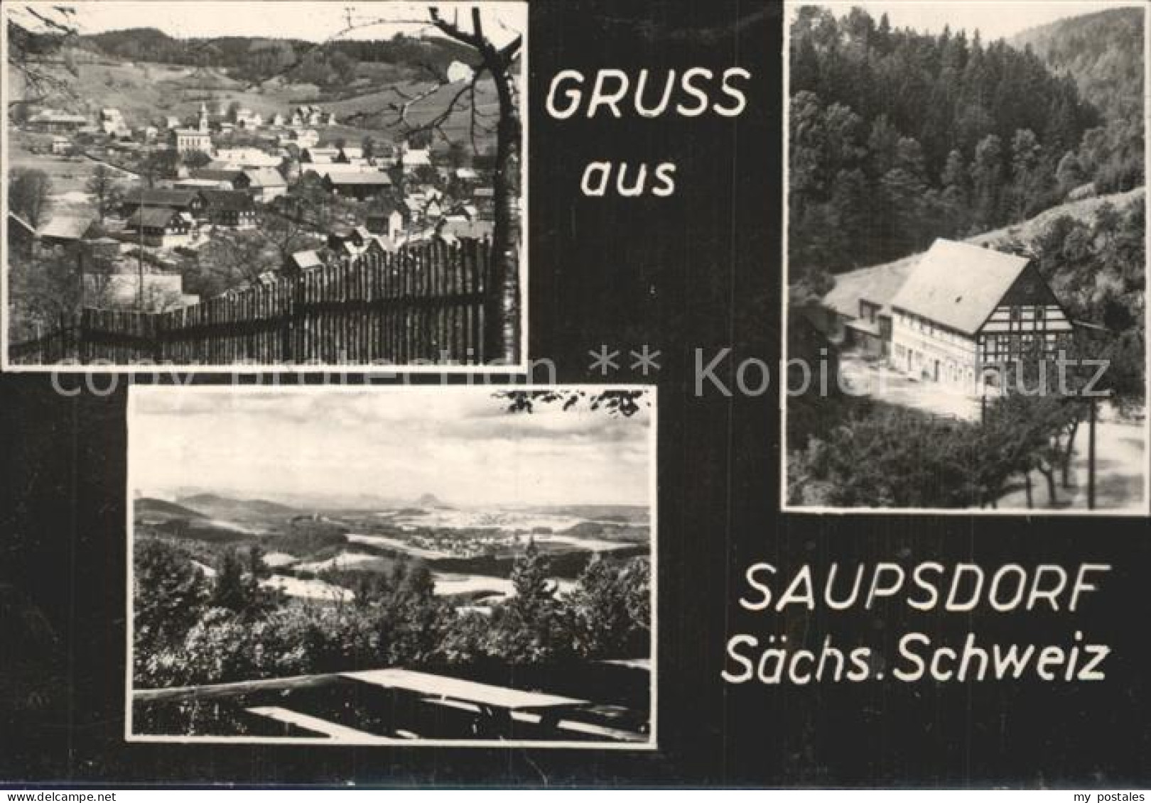 42192665 Saupsdorf  Saupsdorf - Kirnitzschtal