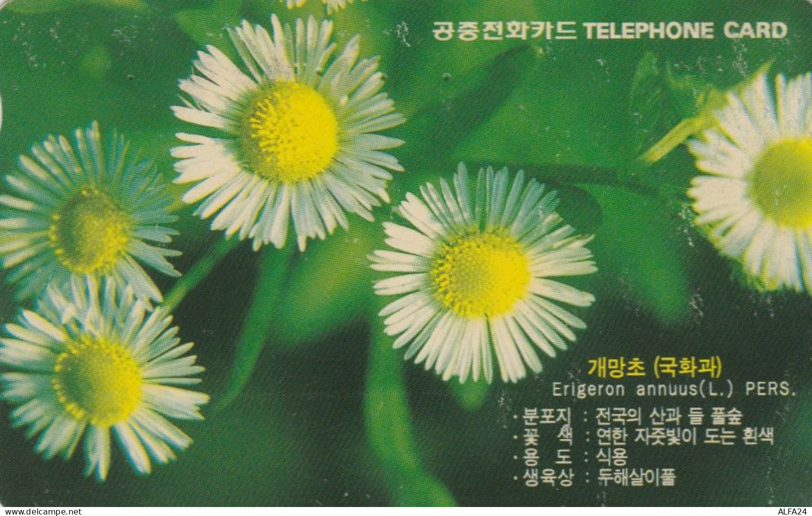 PHONE CARD KOREA (E63.46.2 - Corée Du Sud