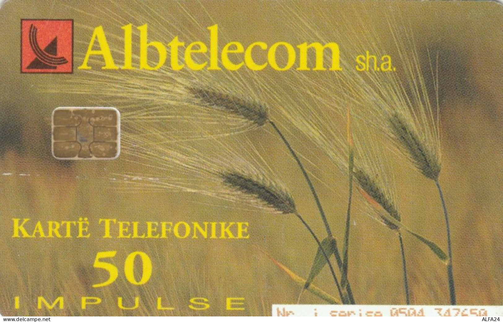 PHONE CARD ALBANIA (E61.11.1 - Albanie