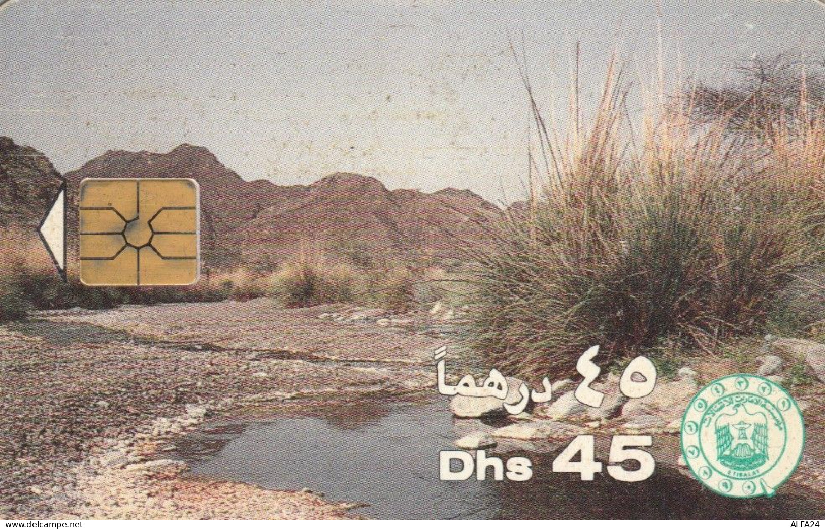 PHONE CARD EMIRATI ARABI (E57.28.3 - Ver. Arab. Emirate