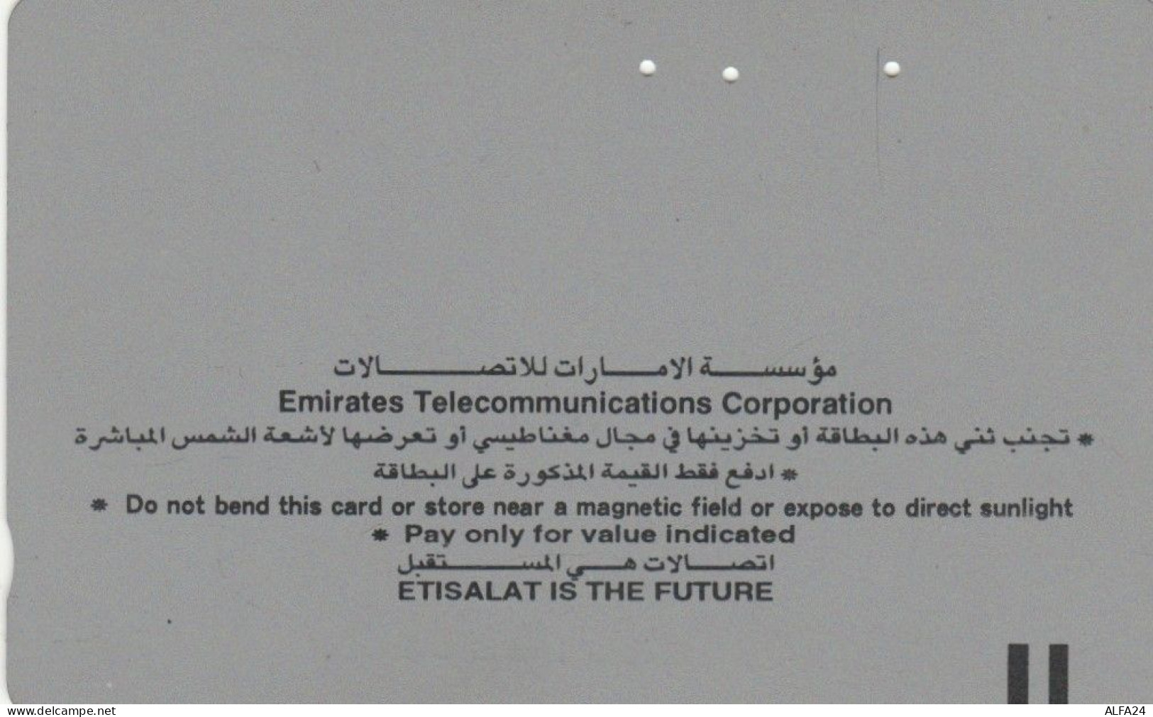 PHONE CARD EMIRATI ARABI (E57.13.1 - Emiratos Arábes Unidos