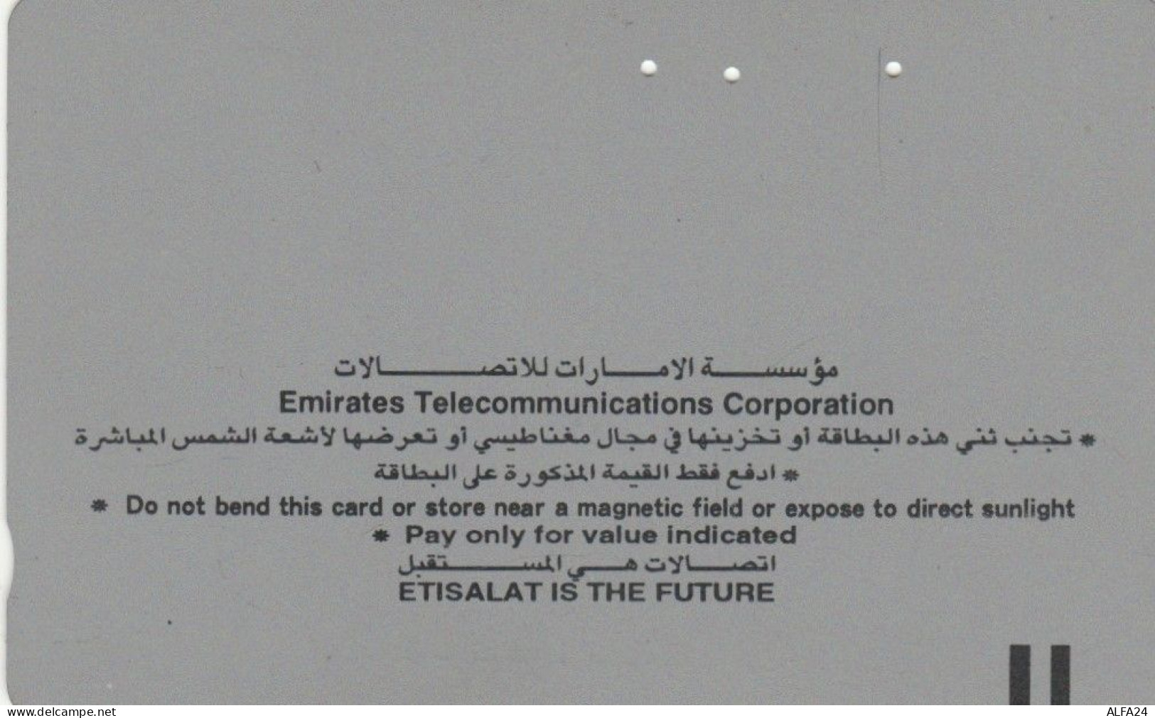 PHONE CARD EMIRATI ARABI (E57.13.1 - Ver. Arab. Emirate