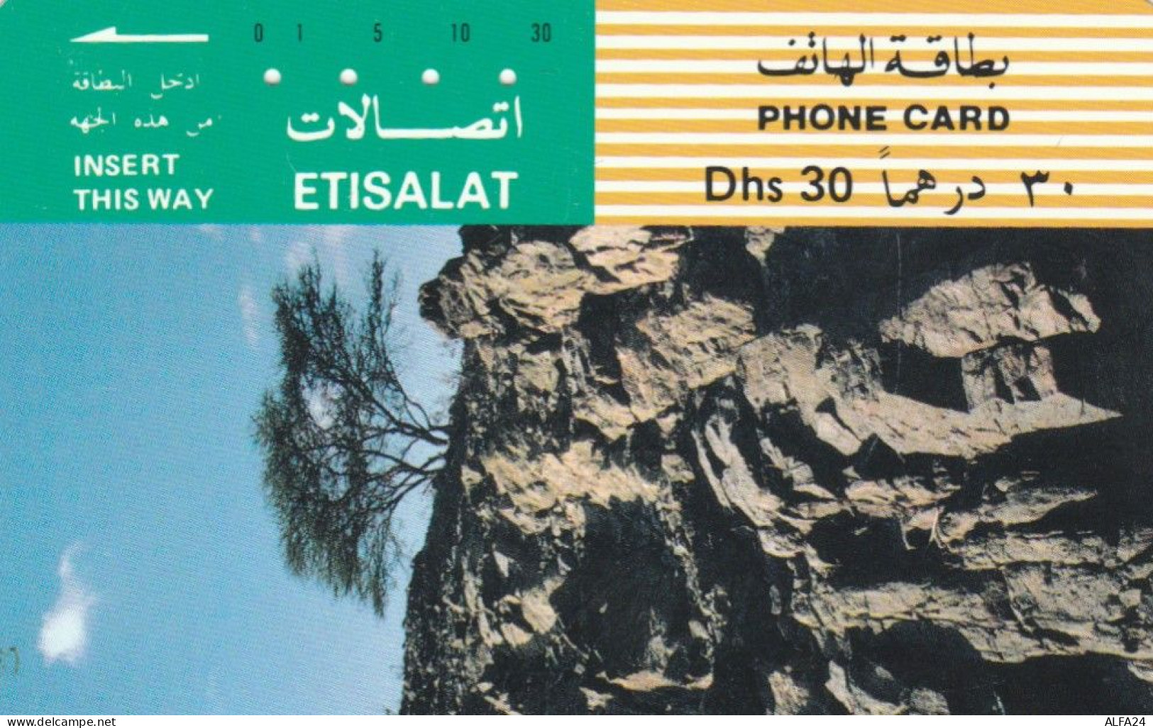 PHONE CARD EMIRATI ARABI (E57.11.3 - Ver. Arab. Emirate