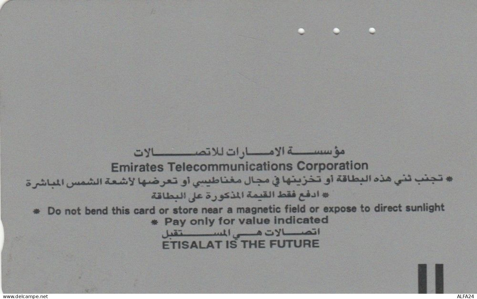 PHONE CARD EMIRATI ARABI (E57.9.1 - Ver. Arab. Emirate