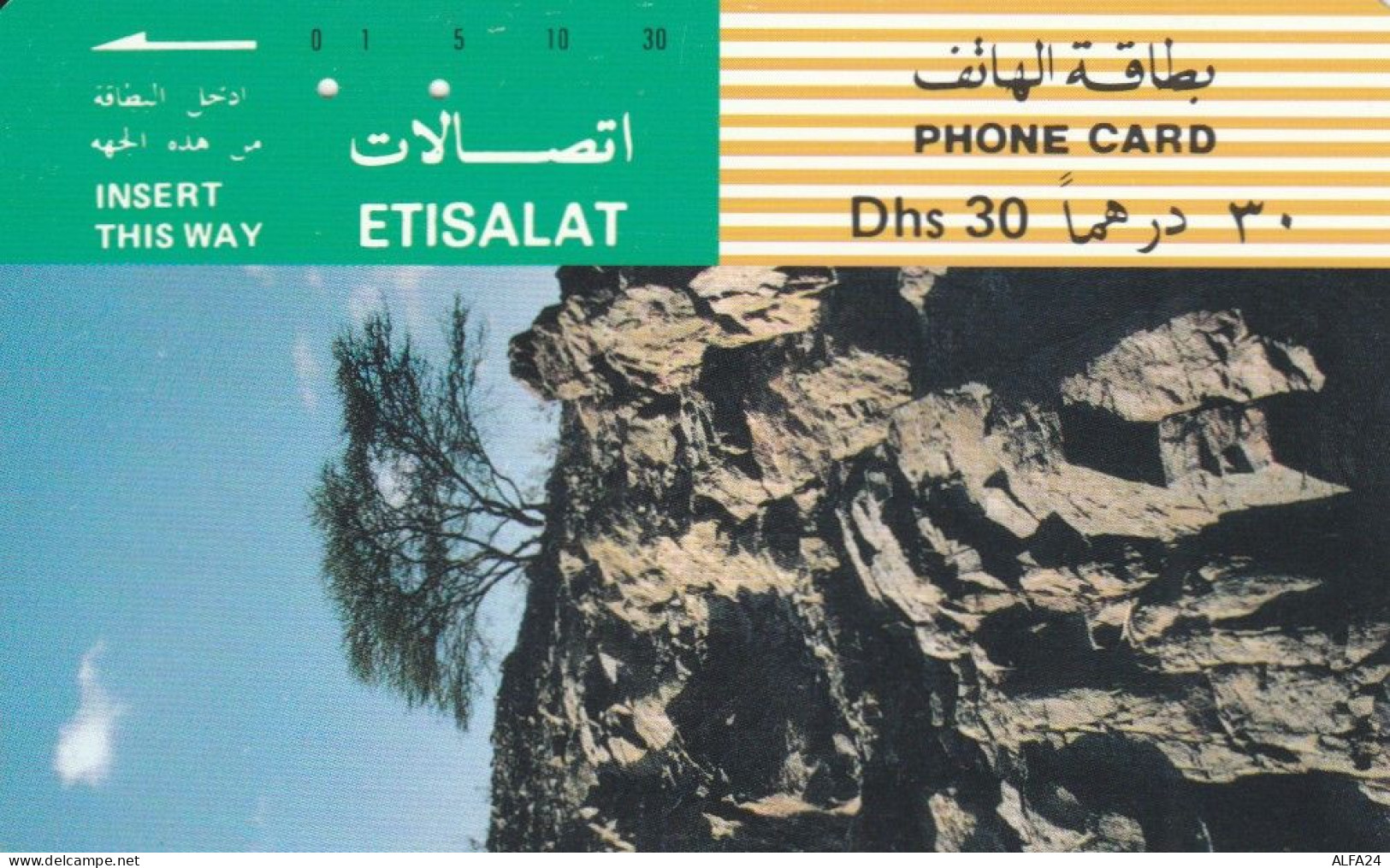 PHONE CARD EMIRATI ARABI (E57.11.2 - Ver. Arab. Emirate