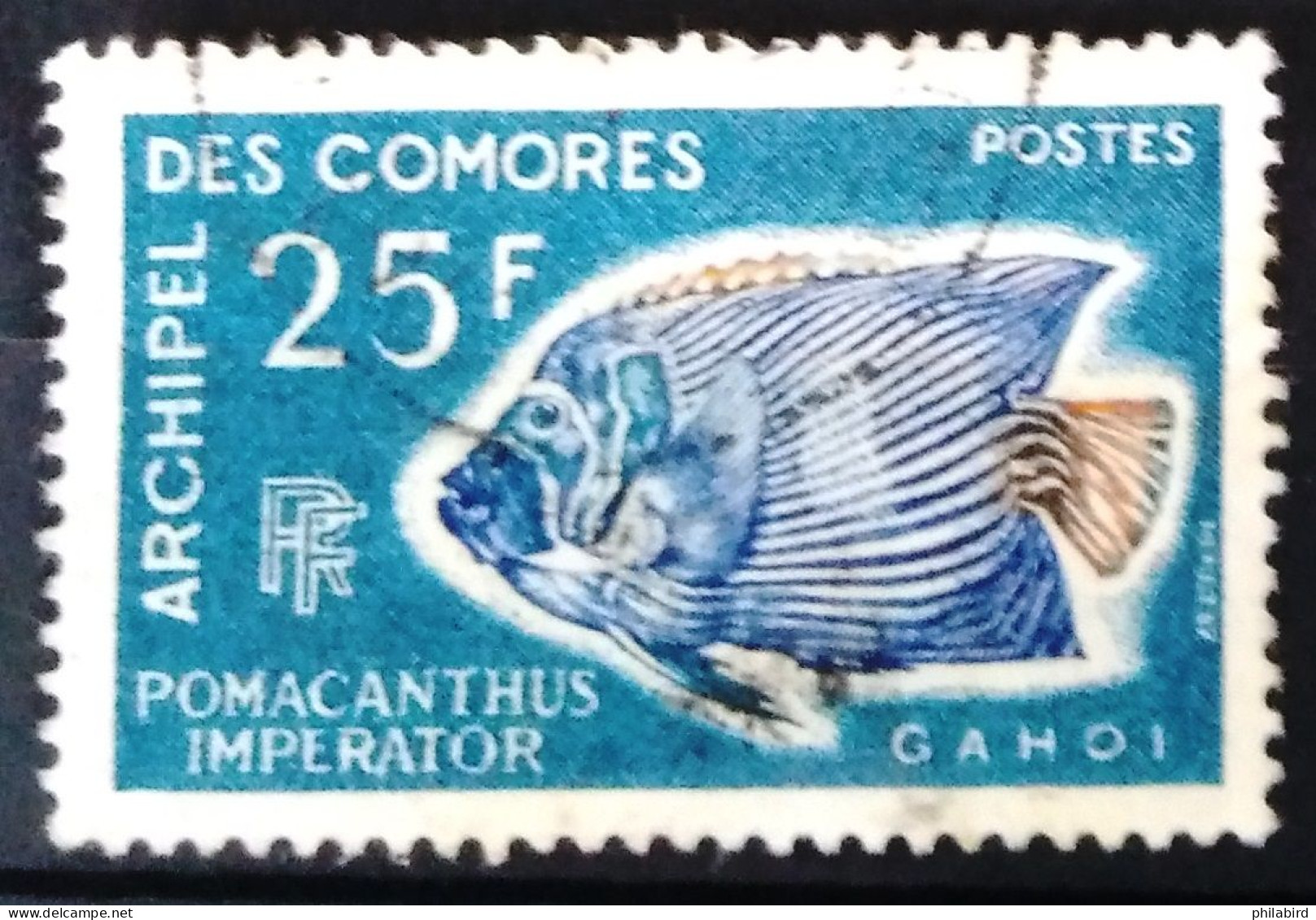 COMORES                         N° 48                         OBLITERE - Used Stamps