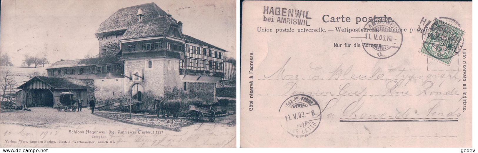 Schloss Hagenweil Bei Amrisweil, Attelages + Cachet Linéaire HAGENWIL Bei AMRISWIL (11.5.1903) Pli D'angle - Amriswil