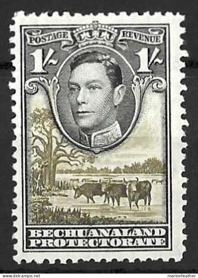 BECHUANALAND...KING GEORGE VI..(1936-52..)......" 1938.."....1/-.....GREY-BLACK.....SG125a.....(CAT.VAL.£28.)....MH.. - 1885-1964 Protectorat Du Bechuanaland