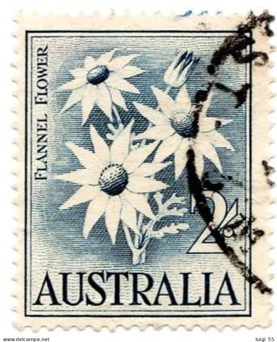 AUSTRALIA - 1959 - Fiori - Flanella - Usato - Oblitérés