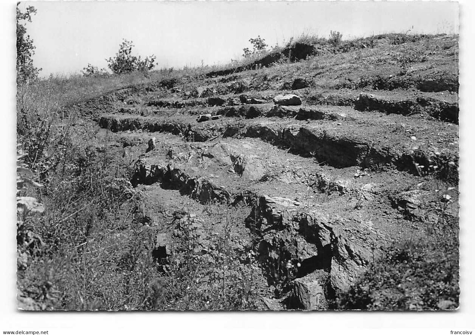 Roquecourbe. Fouilles Sainte Juliane.   Celtes. Archeologie Gradins Amphitheatre - Roquecourbe