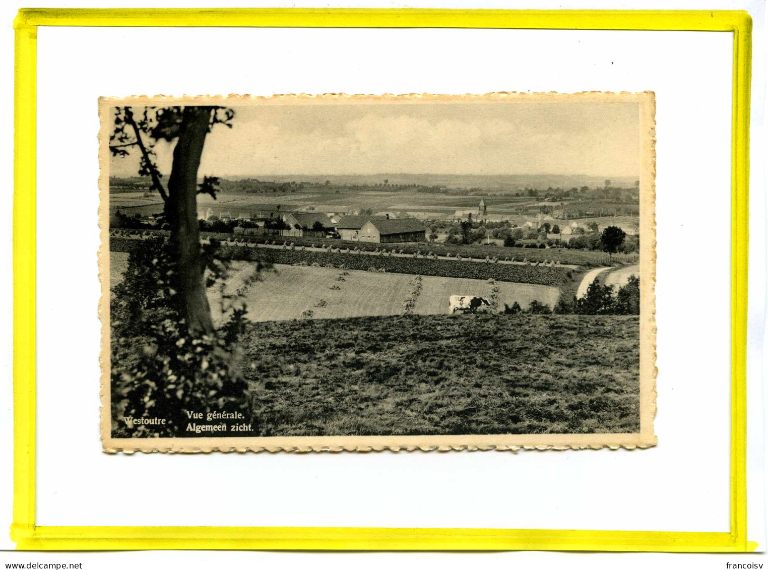 Westoutre - Westouter Mont Rouge.   Vue Generale.  Nels - Heuvelland