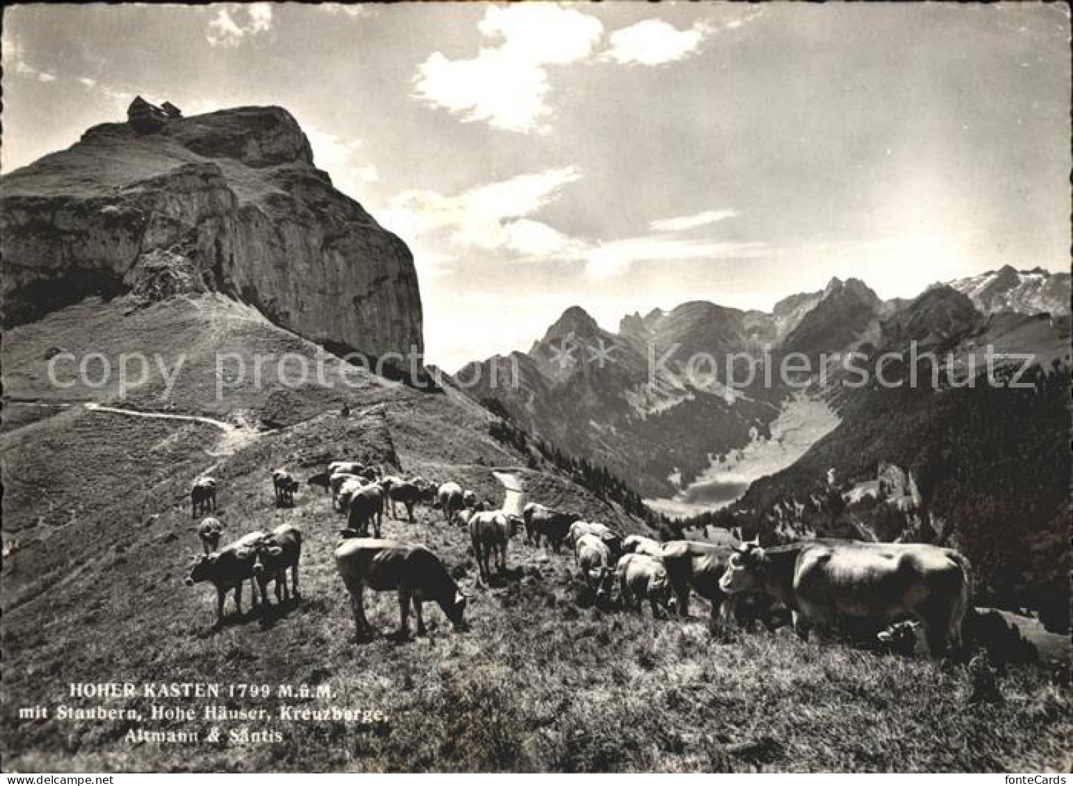 11853093 Hoher Kasten Mit Staubern Hohe Haeuser Kreuzberge Altmann Saentis Weide - Sonstige & Ohne Zuordnung