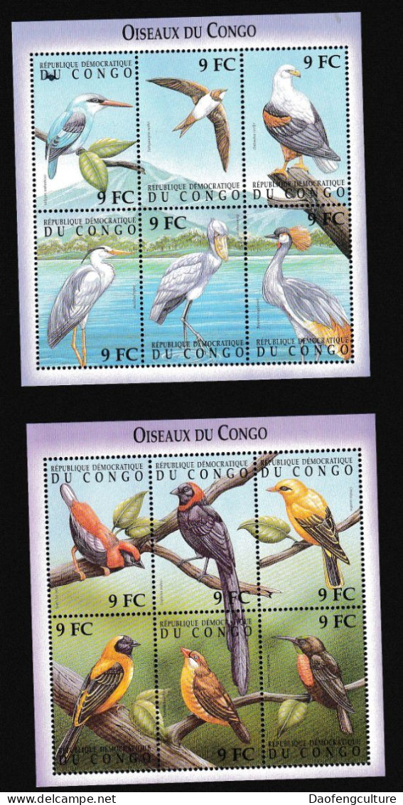 Congo Oiseaux - Other & Unclassified