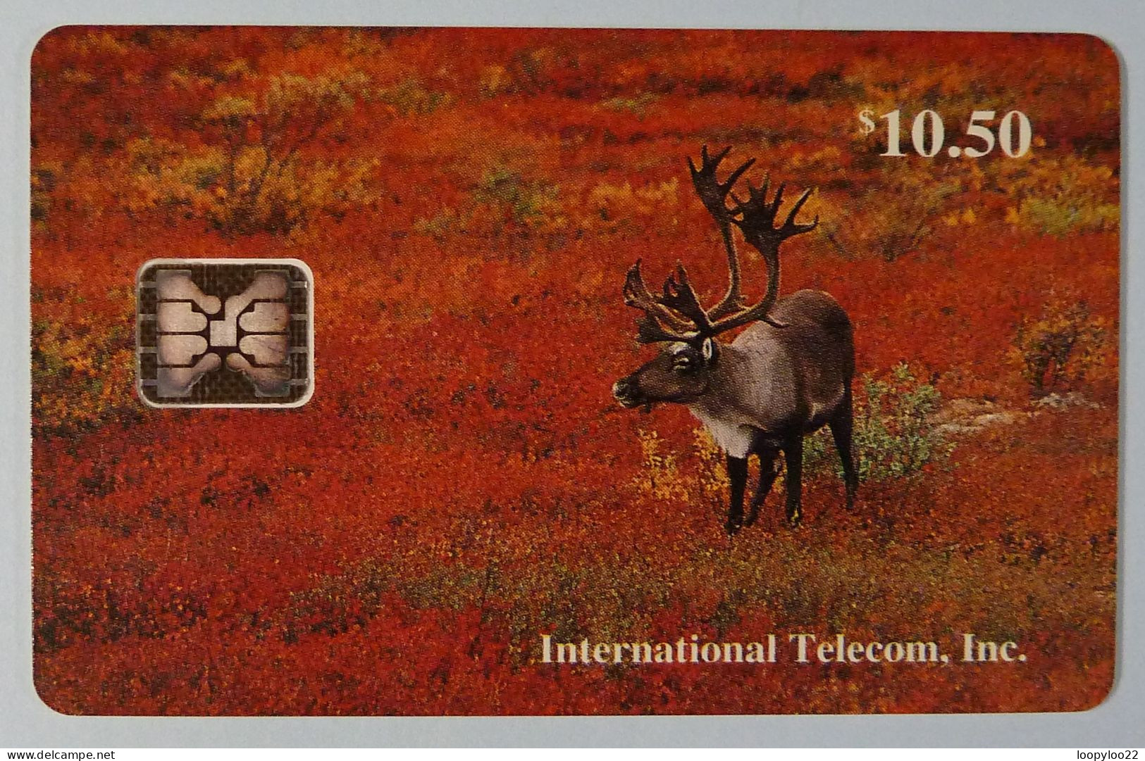 USA - ALASKA - Chip - Bull Caribou - Mint - [2] Chip Cards