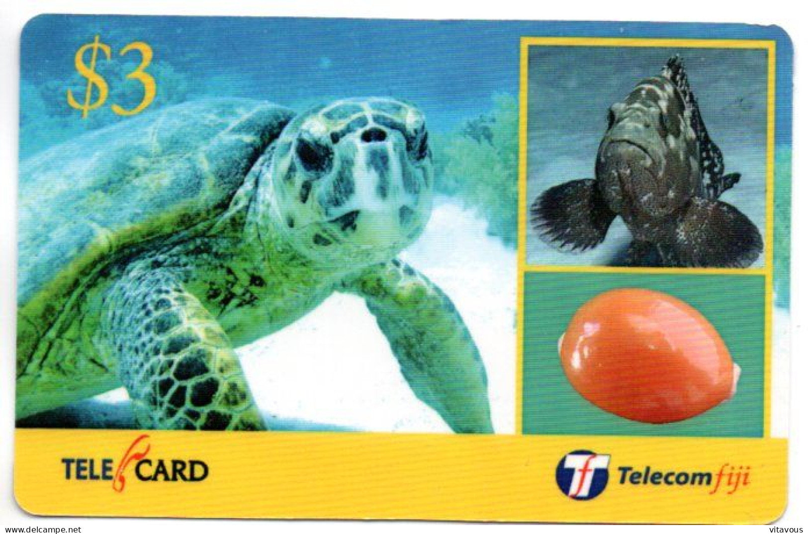 Tortue Tortoise Turtle Cayman Carte Prépayée Recharge Fitji Fiji Card  Telefonkarte (R 800) - Fiji