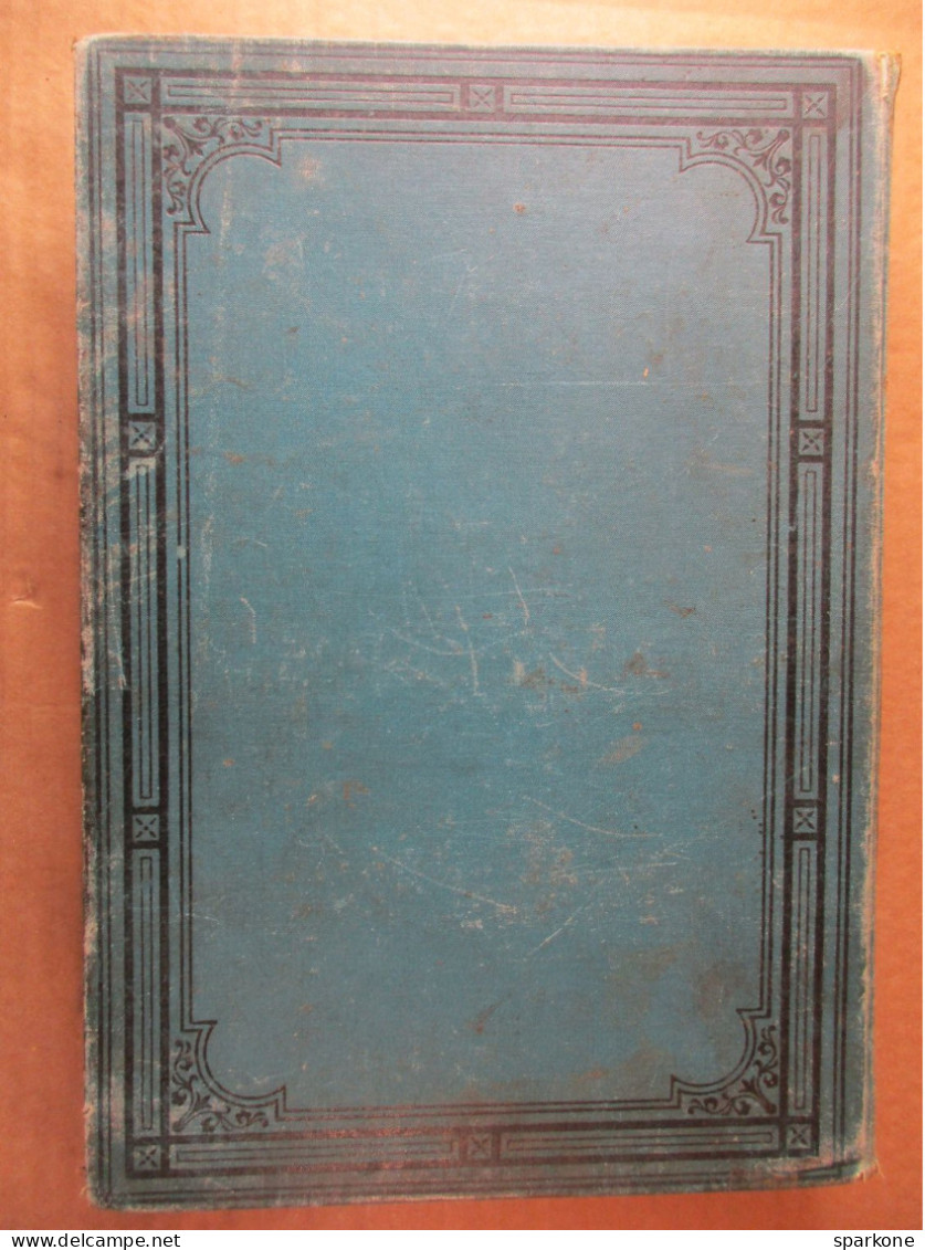 Le Règne De L'électricité (Gaston Bonnefont) éditions Alfred Mame Et Fils De 1895 - Sciences