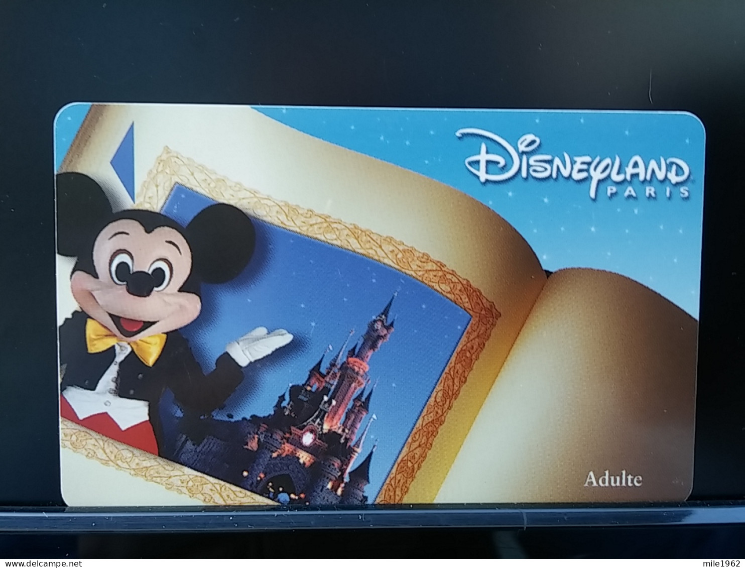 T-251 - DISNEYLAND PARIS, TELECARD, PHONECARD,  - Sonstige & Ohne Zuordnung