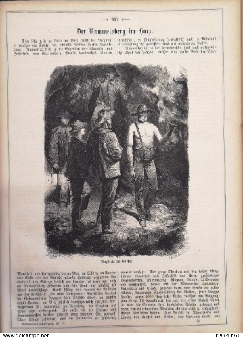 Der Hausfreund. Illustrirtes Volksblatt. X. Jahrgang. 1867. No. 1 Bis No. 48. - Autres & Non Classés