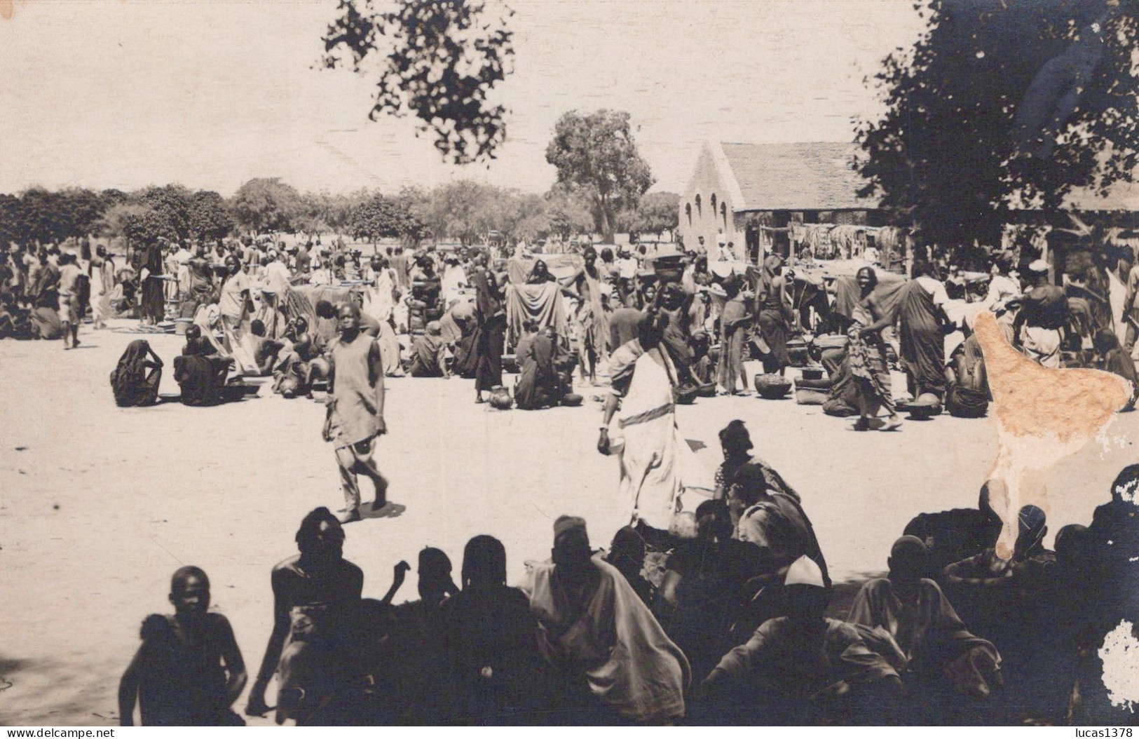 OUBANGUI CHARI / TRES BELLE PHOTO DE MARCHE  / FORMAT CP / DOS BLANC - Centrafricaine (République)