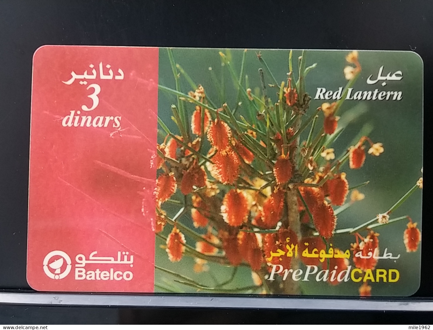 T-269 - BAHREIN, BAHRAIN, TELECARD, PHONECARD, FLOWER, FLEUR - Bahreïn