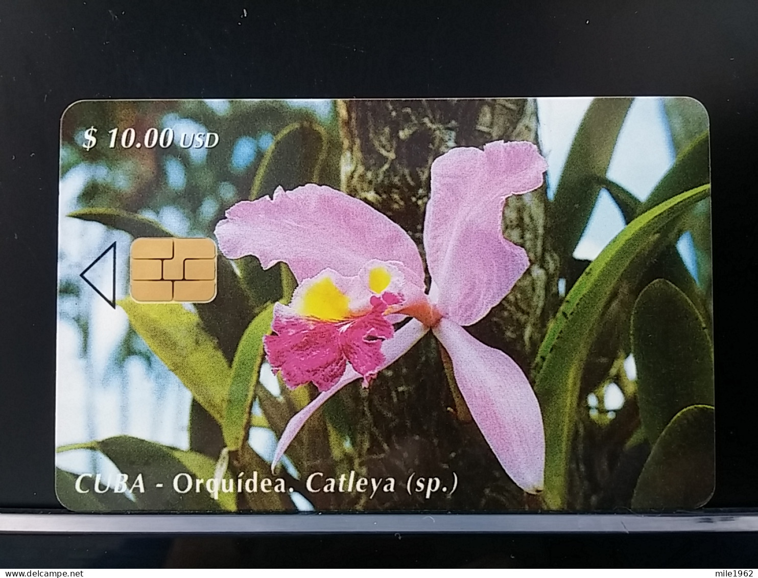 T-269 - CUBA, TELECARD, PHONECARD, FLOWER, FLEUR,  - Cuba