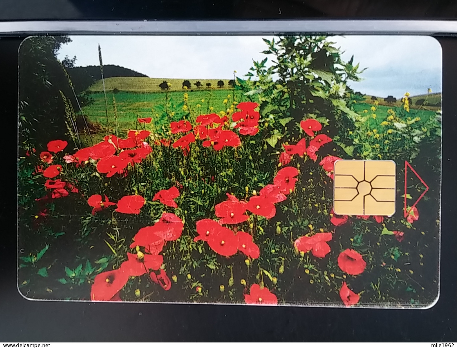 T-269- CZECH TELECARD, PHONECARD NTT, Flower, Fleur - Tsjechië