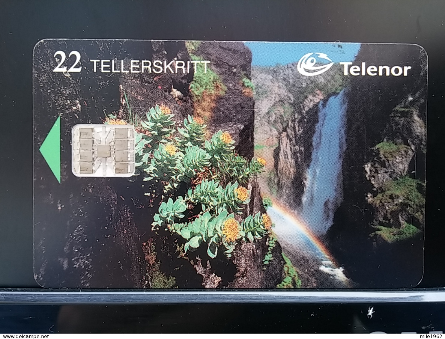 T-270 - NORWAY TELECARD, PHONECARD, FLOWER, FLEUR, VORINGSFOSSEN - Norvegia