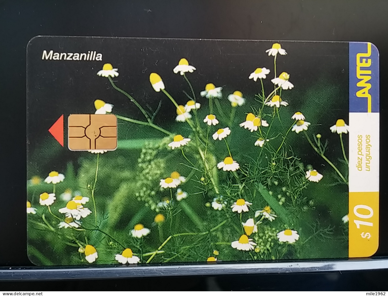 T-271 - URUGUAY TELECARD, PHONECARD, FLOWER, FLEUR, - Uruguay