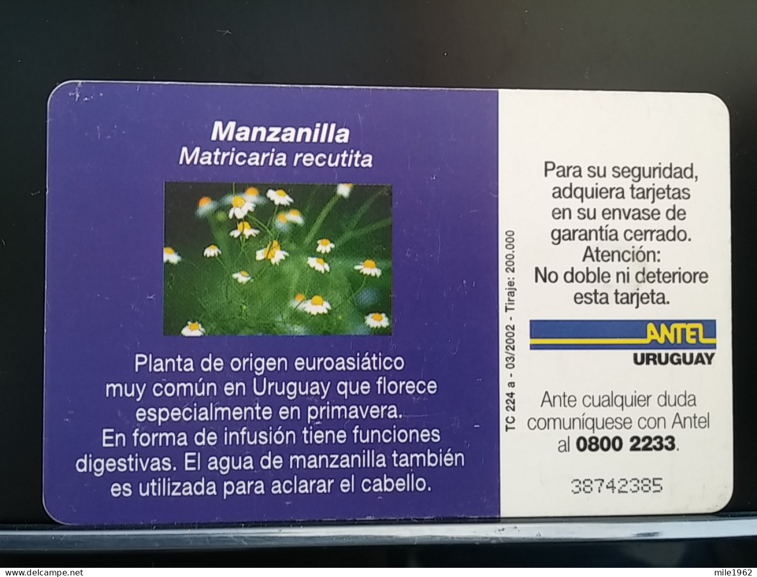 T-271 - URUGUAY TELECARD, PHONECARD, FLOWER, FLEUR, - Uruguay