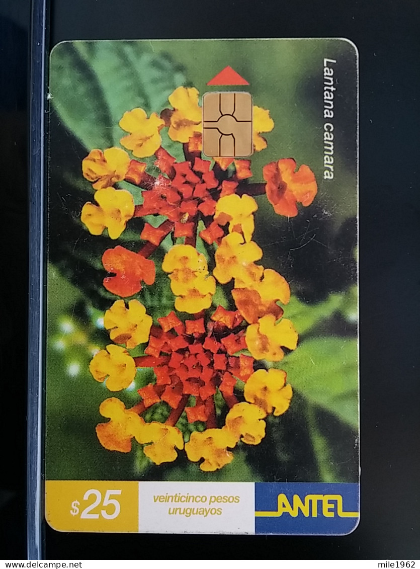 T-271 - URUGUAY TELECARD, PHONECARD, FLOWER, FLEUR, - Uruguay