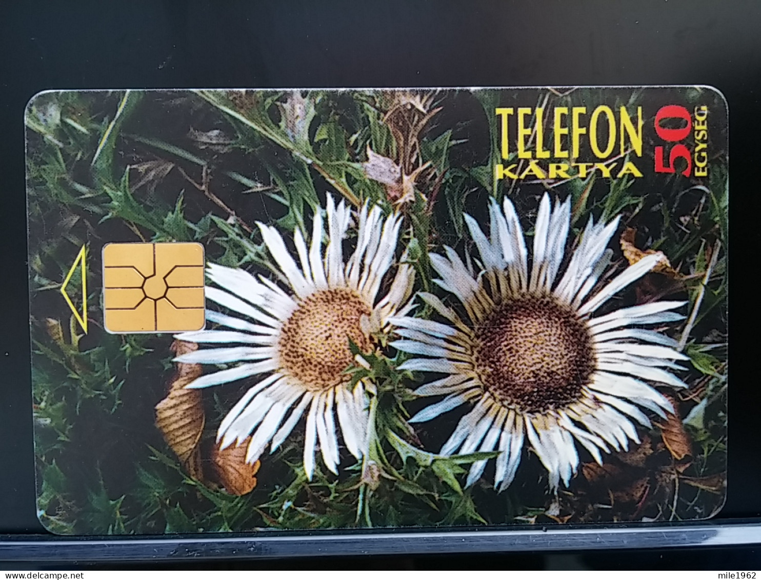 T-272 - HUNGARY, TELECARD, PHONECARD, FLOWER, FLEUR - Hungary