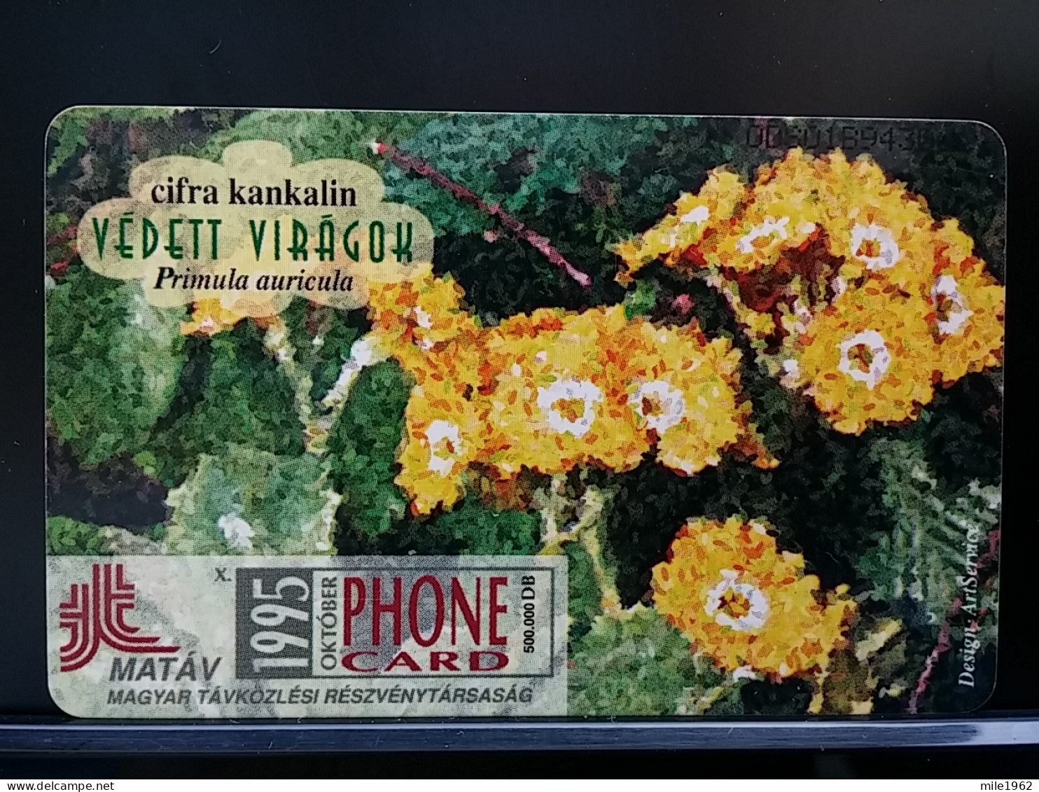 T-272 - HUNGARY, TELECARD, PHONECARD, FLOWER, FLEUR - Ungarn